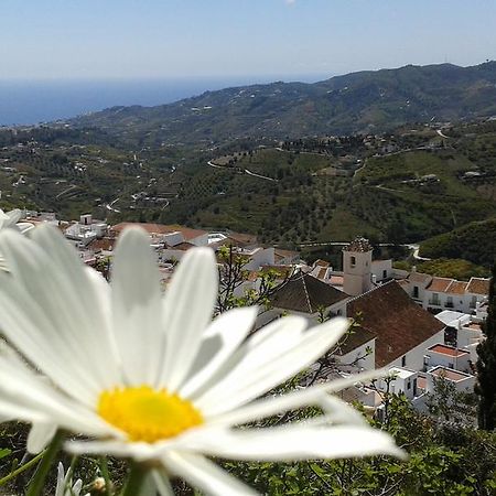 Casa Ana, Fantasticas Vistas A Frigiliana, El Mar Y La Montana Villa Eksteriør billede