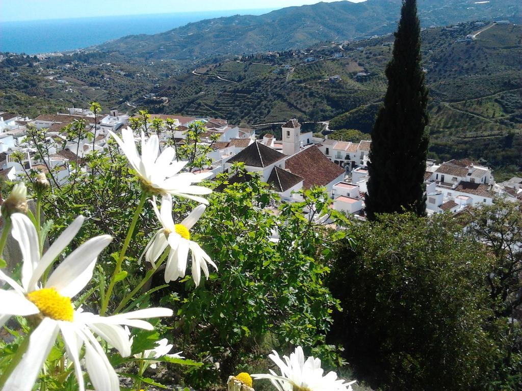 Casa Ana, Fantasticas Vistas A Frigiliana, El Mar Y La Montana Villa Værelse billede
