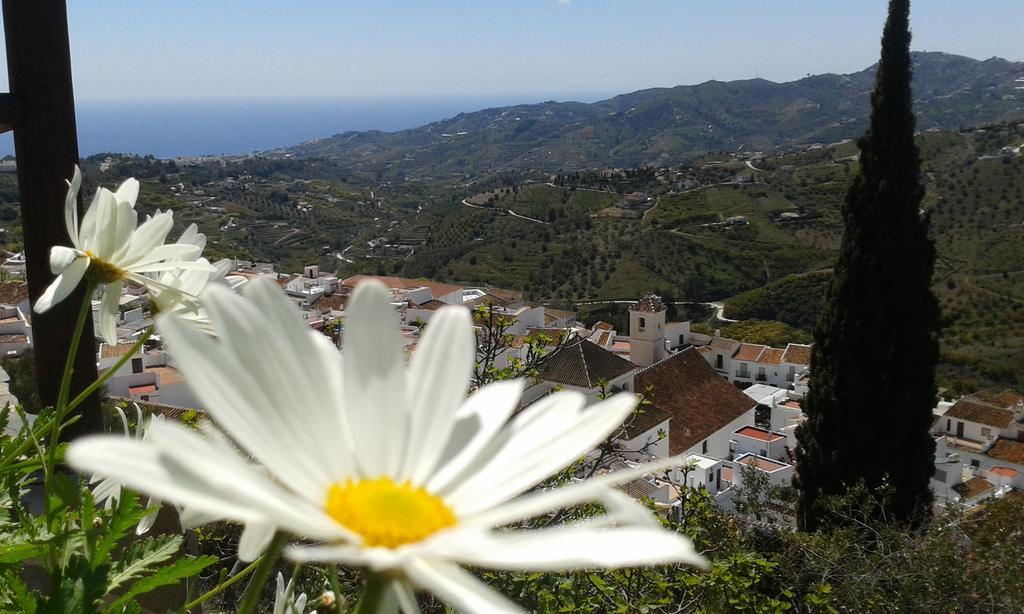 Casa Ana, Fantasticas Vistas A Frigiliana, El Mar Y La Montana Villa Eksteriør billede