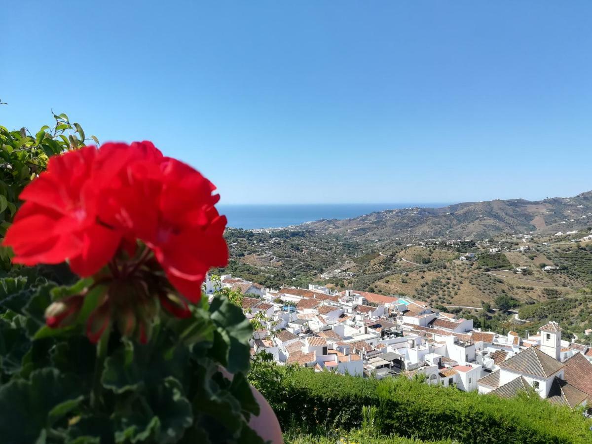 Casa Ana, Fantasticas Vistas A Frigiliana, El Mar Y La Montana Villa Eksteriør billede